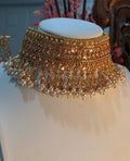 Sonali Choker